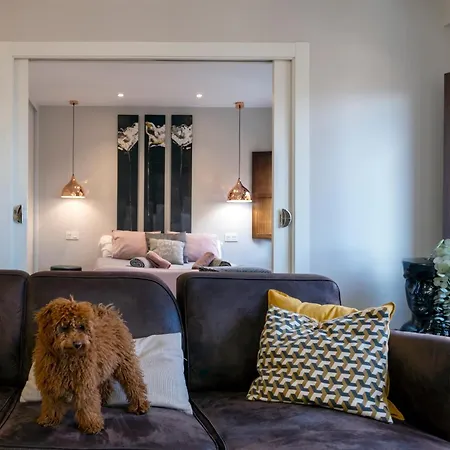 El Arco San Esteban By Unique